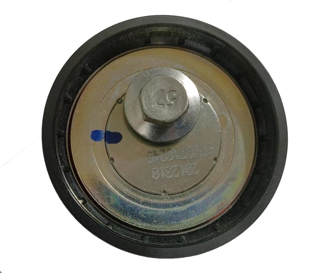 QC000719 MK667238 5802716245 QOC000719 504334710 T36863 APV3301